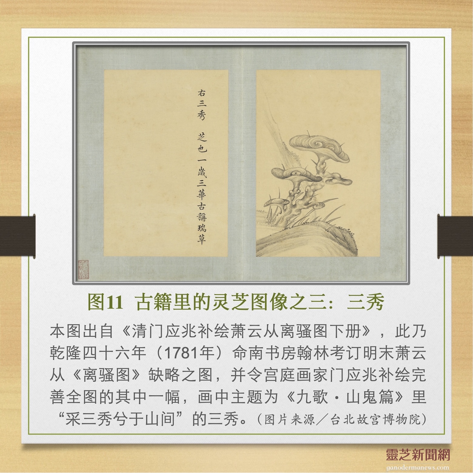 20250515-11new
