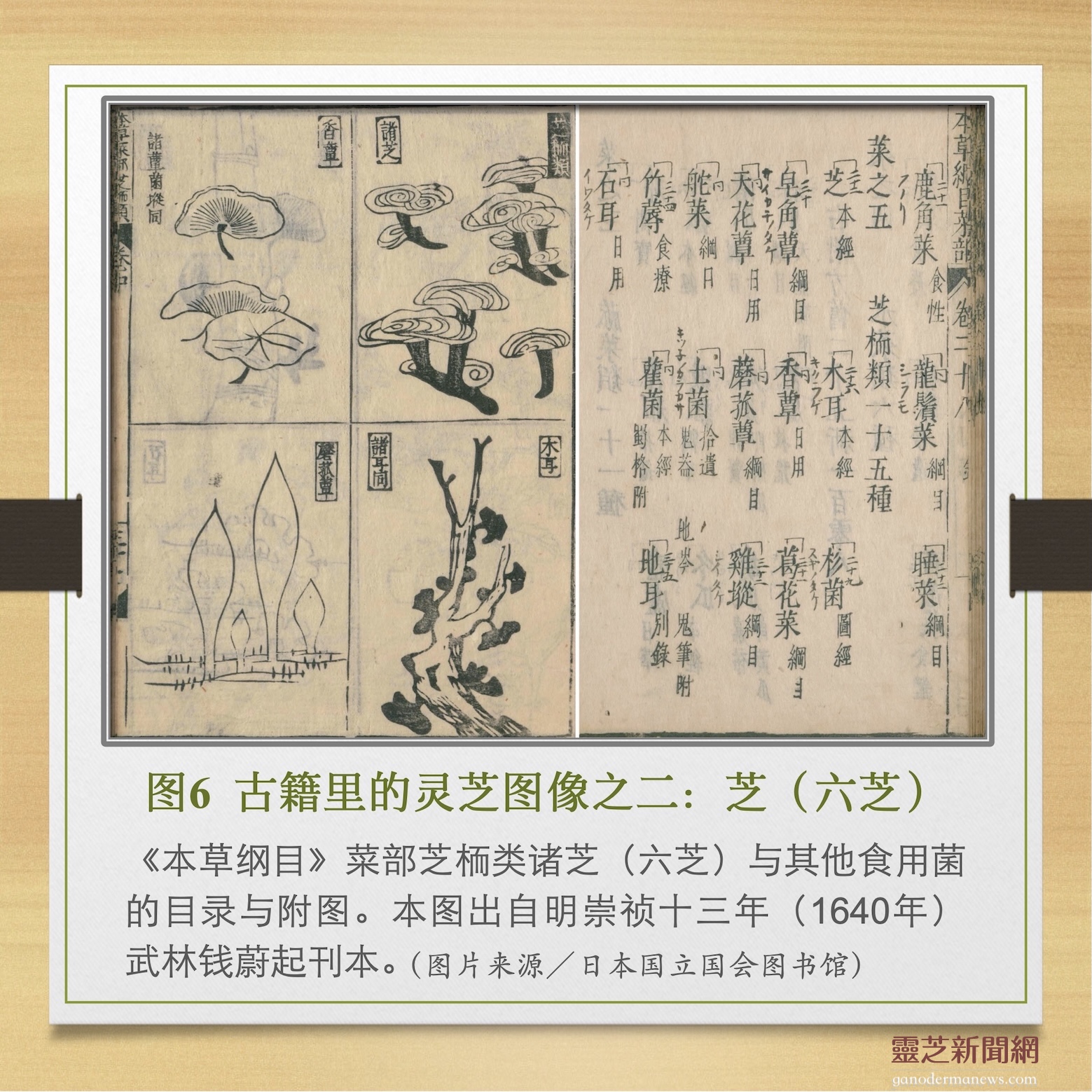 20250515-6new